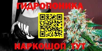 спиды Брянск