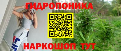 спиды Брянск