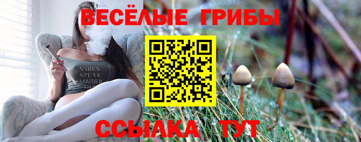 Псилоцибиновые грибы ЛСД  Вход с VPN  Советск 