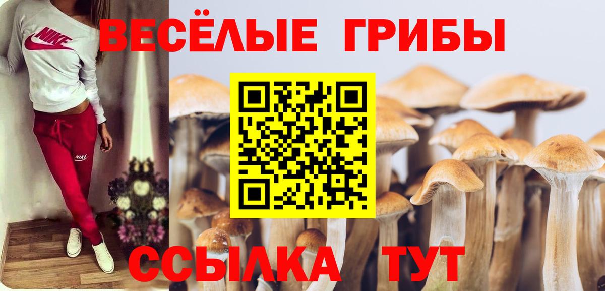 Галлюциногенные грибы Psilocybine cubensis Советск